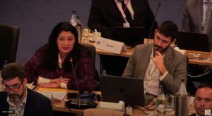 Іванна Климпуш-Цинцадзе: Сподіваємось на посилену підтримку та чітку дорожню карту членства України в ЄС